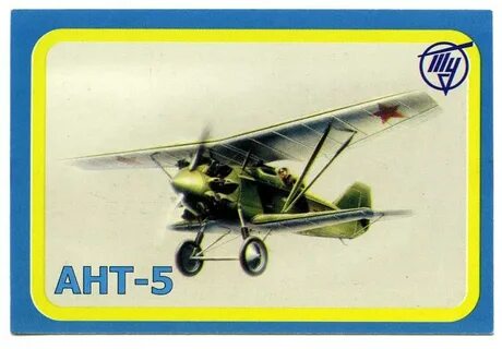Ant 5