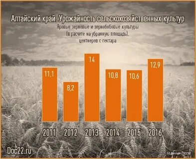 Урожайность алтайского края