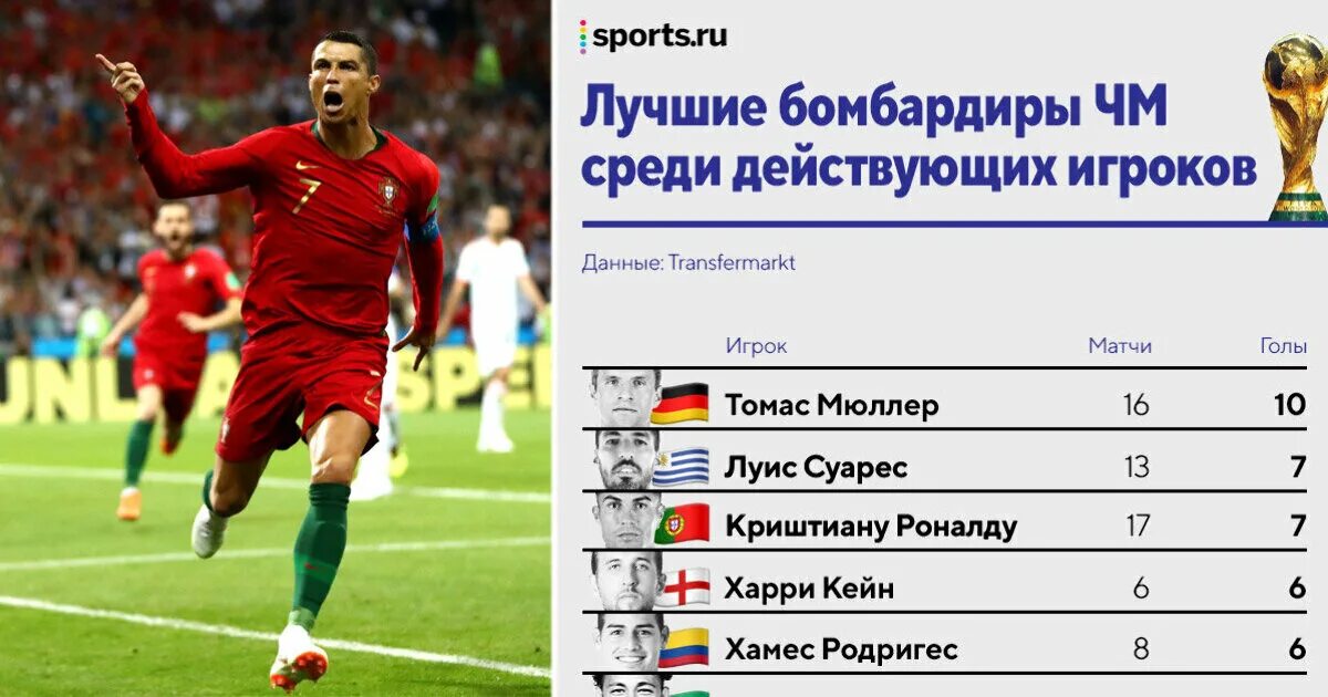 Сколько голов на чм