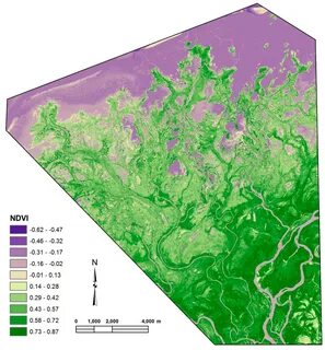 Ndvi