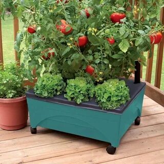 Contain plants