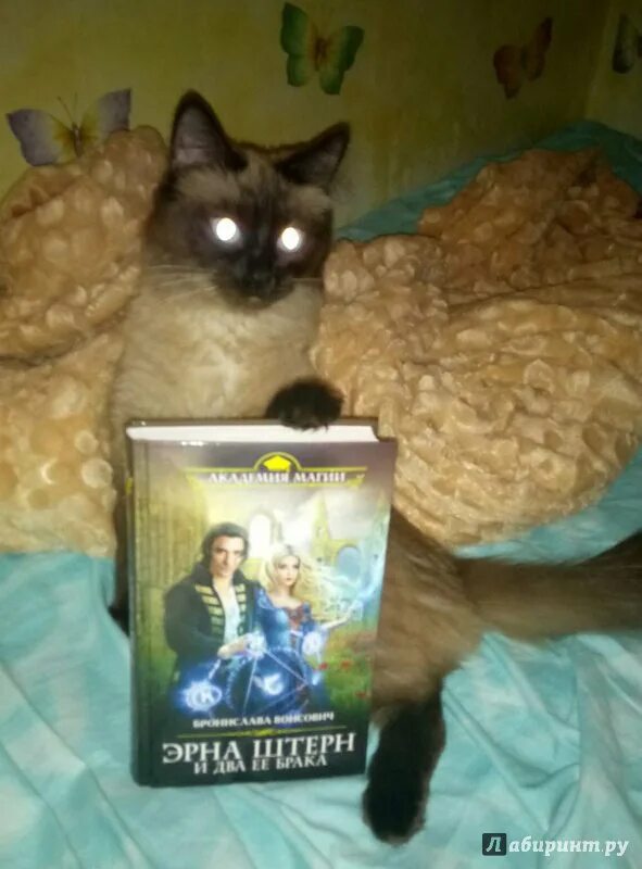 Эрна штерн и два. Эрна штерн и два ее брака. эрна штерн и два ее брака читать. эрна штерн и два ее брака аудиокнига.