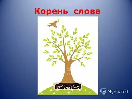 Корень в слове нарисовать