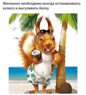 Бесплатные юморные картинки