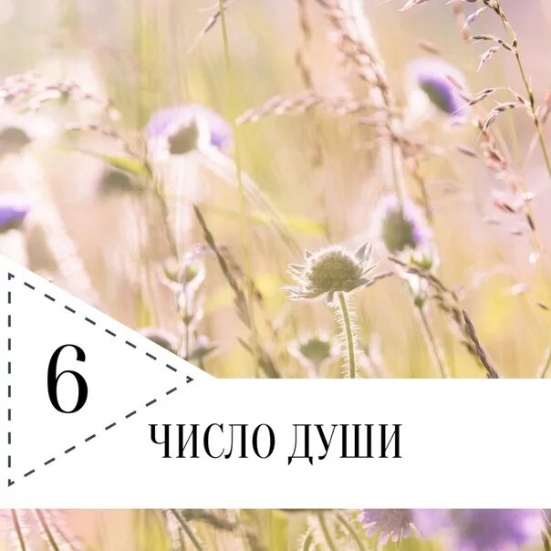 Число души найти. Число души. число души 6. число души 3. число души число.