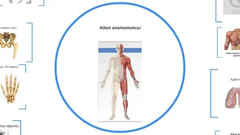 Ер адамның анусын созу суреттері