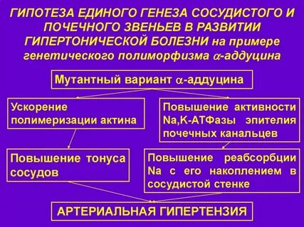 Почечного генеза