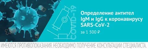 Антитела п кол