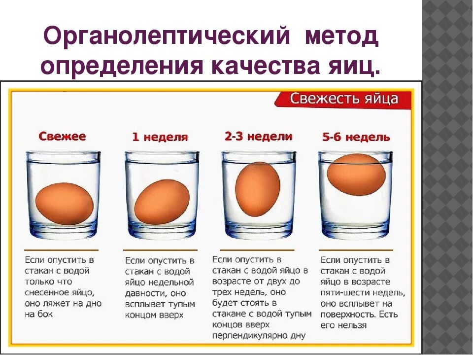 Перепелиные яйца всплыли в холодной воде. Как проверить яйца на свежесть. Определение качества яиц. Как узнать свежесть яиц. Оценка качества яиц куриных.