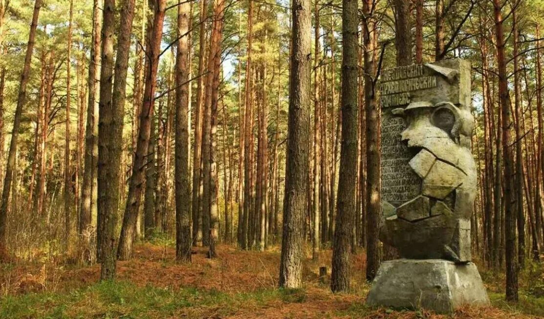 Музей-заповедник гнёздовские курганы. Гнездовские курганы смоленск. Смоленская обл гнездово. Заповедник гнездово. Гнёздово археологический комплекс.