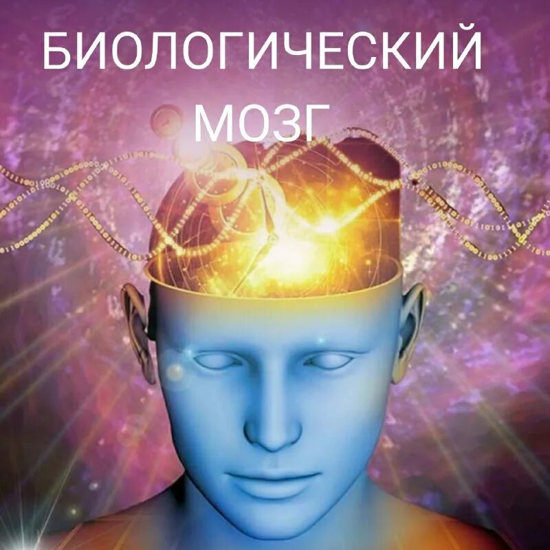 алхимик жизнь