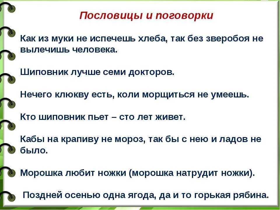 Пословицы о бережном. Загадки и пословицы о растениях. Пословицы о растениях. Пословицы и поговорки о растениях. Поговорки о растениях.