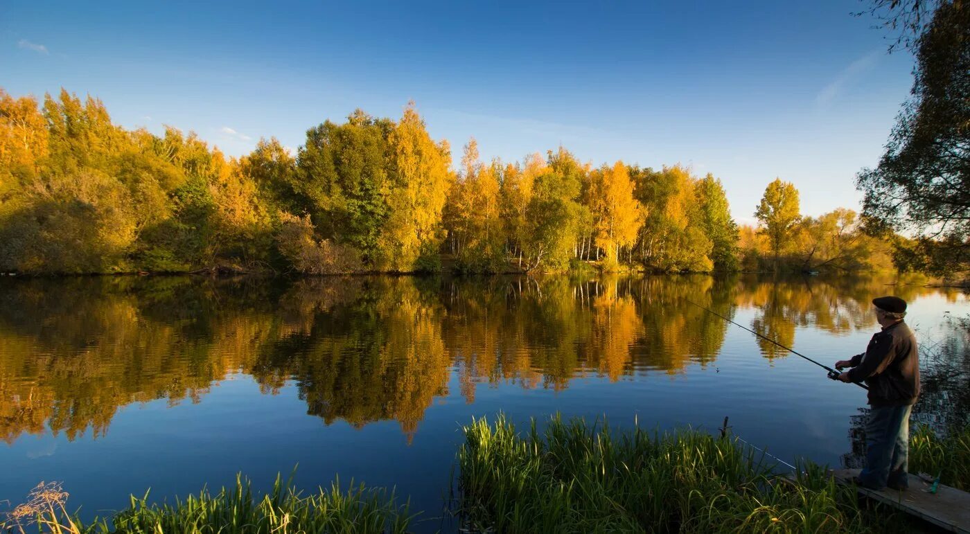 Рыбак на берегу водоема. Пруд Посельский Липецкая область. Осень река. Осенняя река. Речной пейзаж.