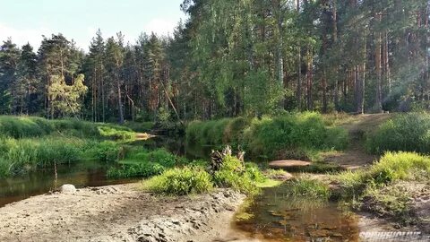 Ближайшая река
