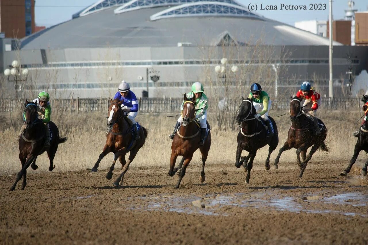 Дерби спорт. Первые скачки. Сплошные скачки. Скачки на лошадях. Дерби спорт лошади.