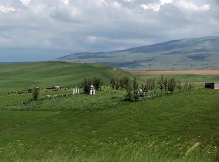 Погода сегодня казыгурт