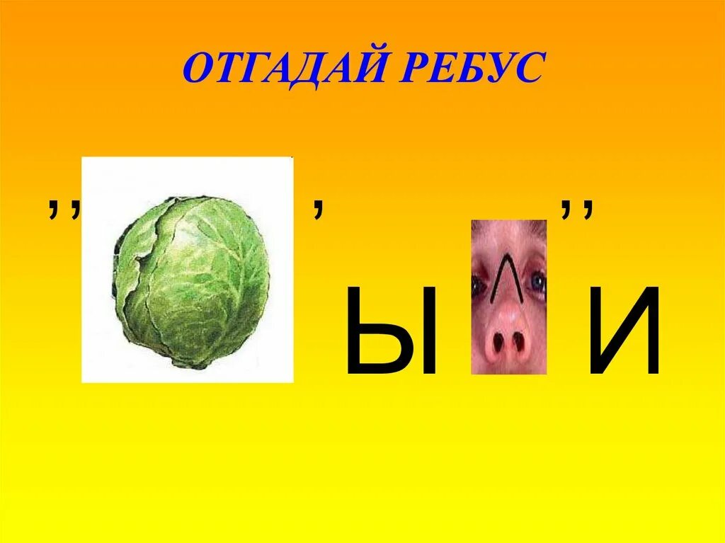 Ребусы. Угадать ребус. Угадай ребус. Ребусы про природные зоны. Ребусы с местоимениями