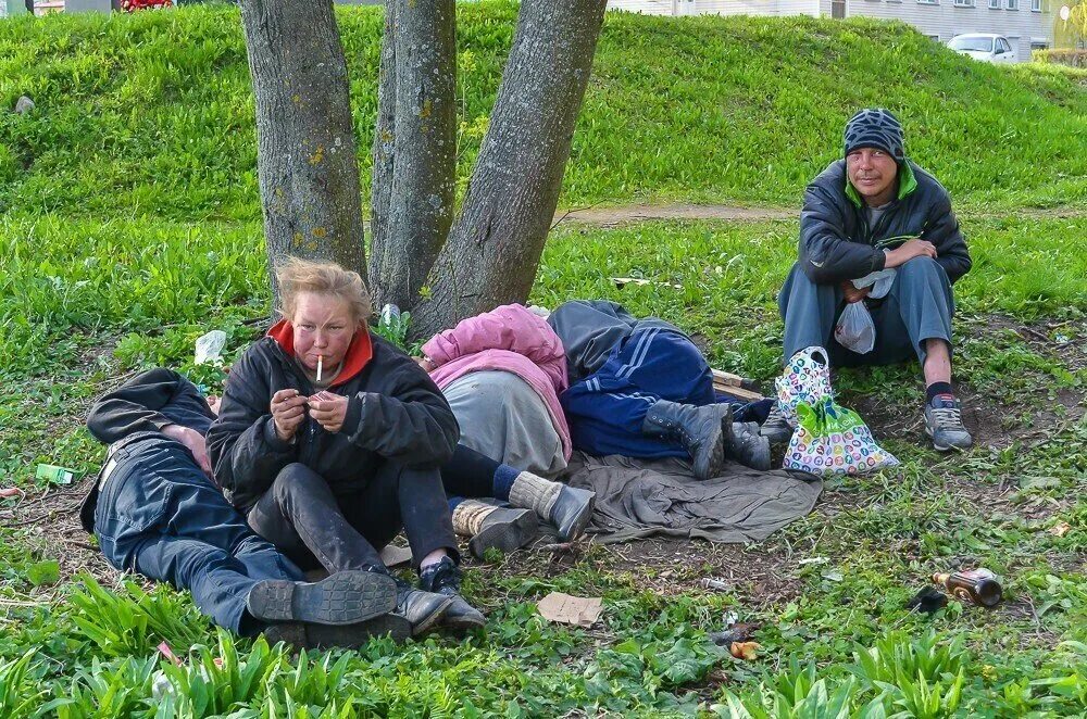 Пикник бирюлево. Прикольные фото алкоголиков.