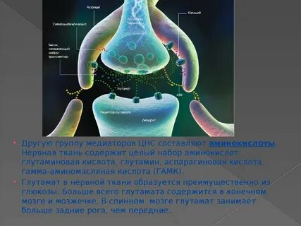 Нервные медиаторы