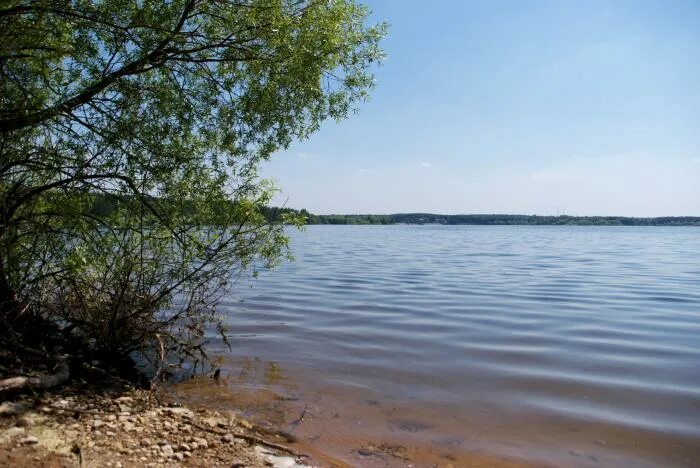 Можайское водохранилище. Можайское водохранилище гидроузел. Можайское водохранилище гидроузел пляж. Зарецкая Слобода Можайское водохранилище. Клев на можайском