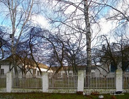 Погода белгородская шебекинский зимовное