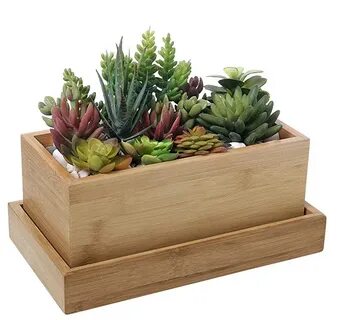 Plant box
