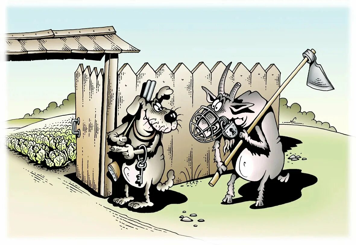 Глупости животных. Смешной ослик. Глупости животных. Слух человека и животных. Пепсикольные животные.