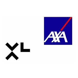 Xl group