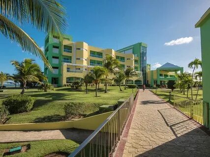 Caribe palma real