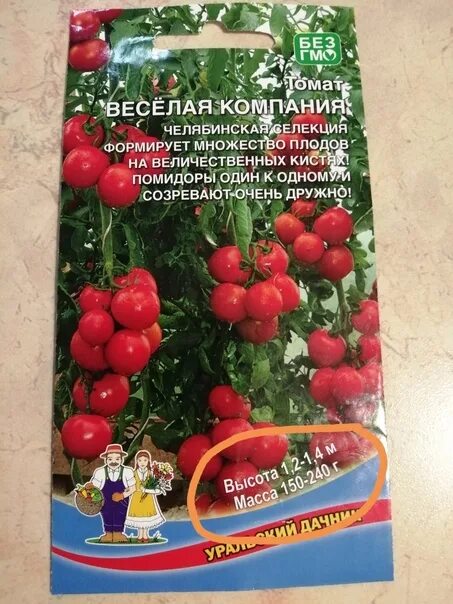 Томат веселая компания Уральский Дачник. Семена томатов Гном. Томат Гном описание. Томат весёлая компания характеристика.