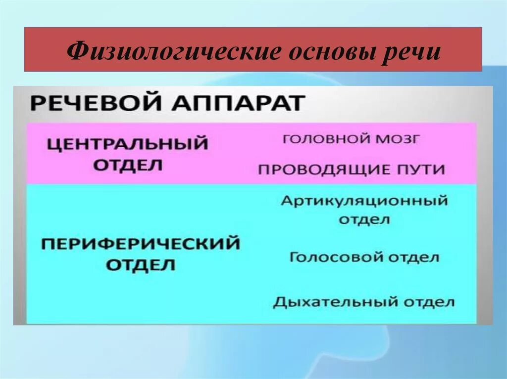 Анатомо физиологические дефекты речевого аппарата. Физиологические основы речи. Анатомофизиолгические основы речи. Физиологические основы речевой деятельности. Анатомо физиологические основы речевой деятельности кратко.