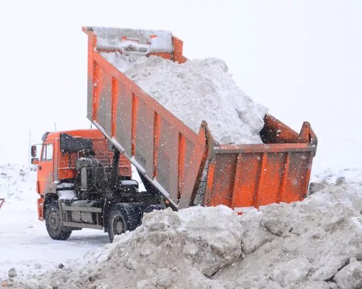 самосвал со снегом. уборка снега. камаз 55111 уборка снега. нужен вывоз снега. нужен вывоз снега.