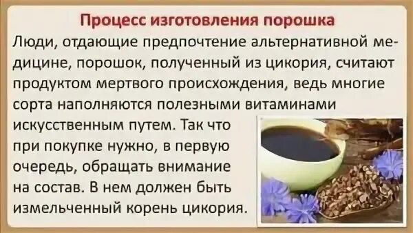 Цикорий повышает давление или нет