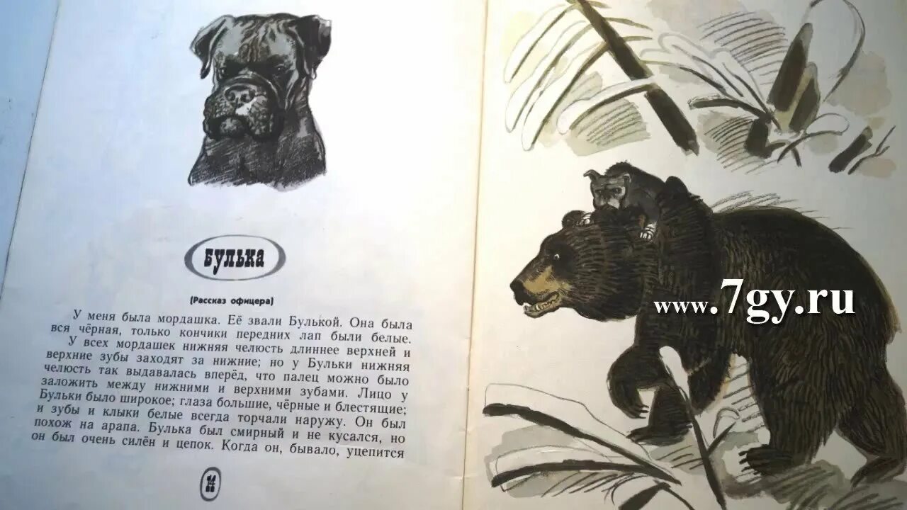 Толстой рассказы для детей слушать. Лев николаевич толстой булька. толстой л. &quot;булька&quot;. произведение льва николаевича толстого булька. лев толстой рассказ булька.