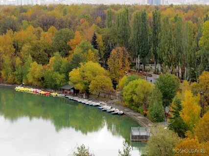 Где измайловский парк