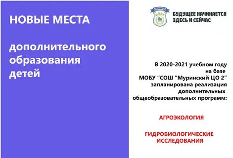 Приказ успех каждого ребенка