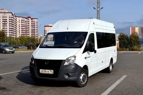 Луидор 225033