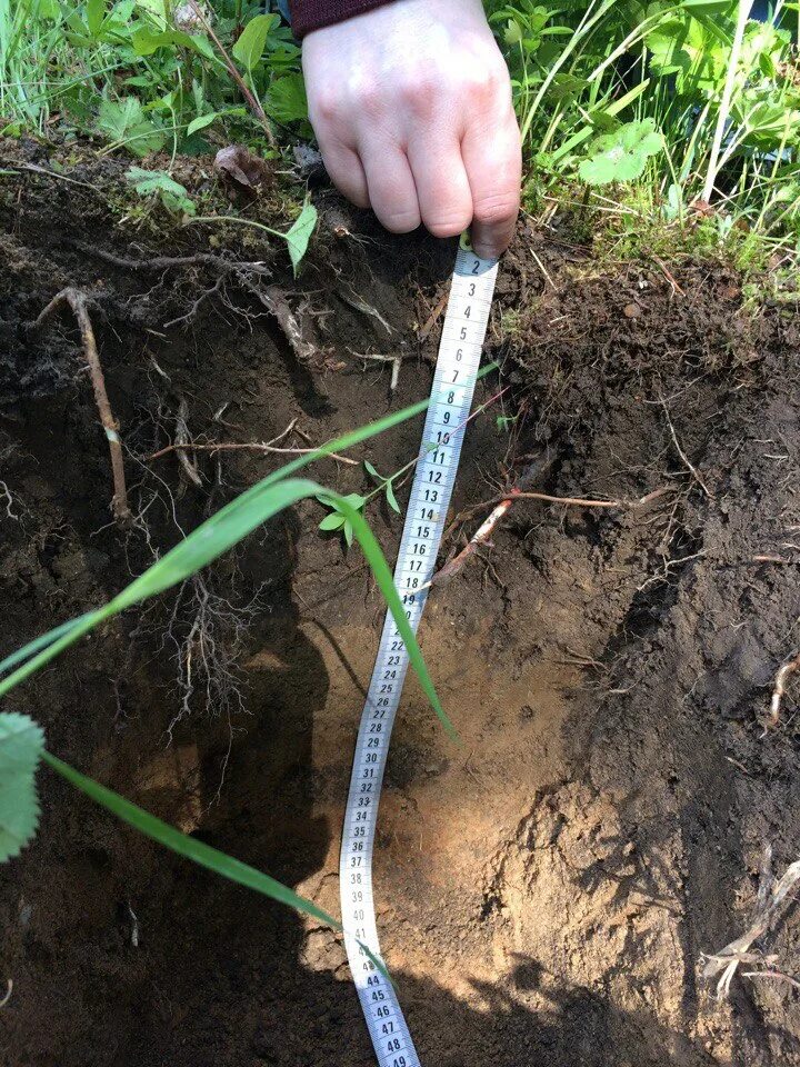 почвоведение практика. почвоведение практика. практические занятия по почвоведению. агрохимик почвовед. полевая практика в школе.