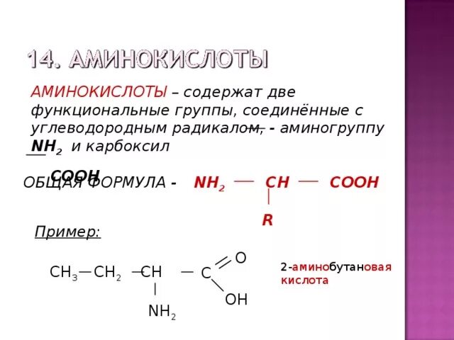 Укажите какие функциональные группы. Укажите какие функциональные группы