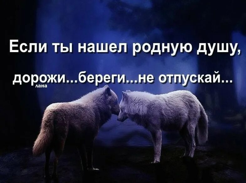 Где найти родственную душу. Статусы родственные души. берегите родную душу. найти родную душу. если нашел родную душу.