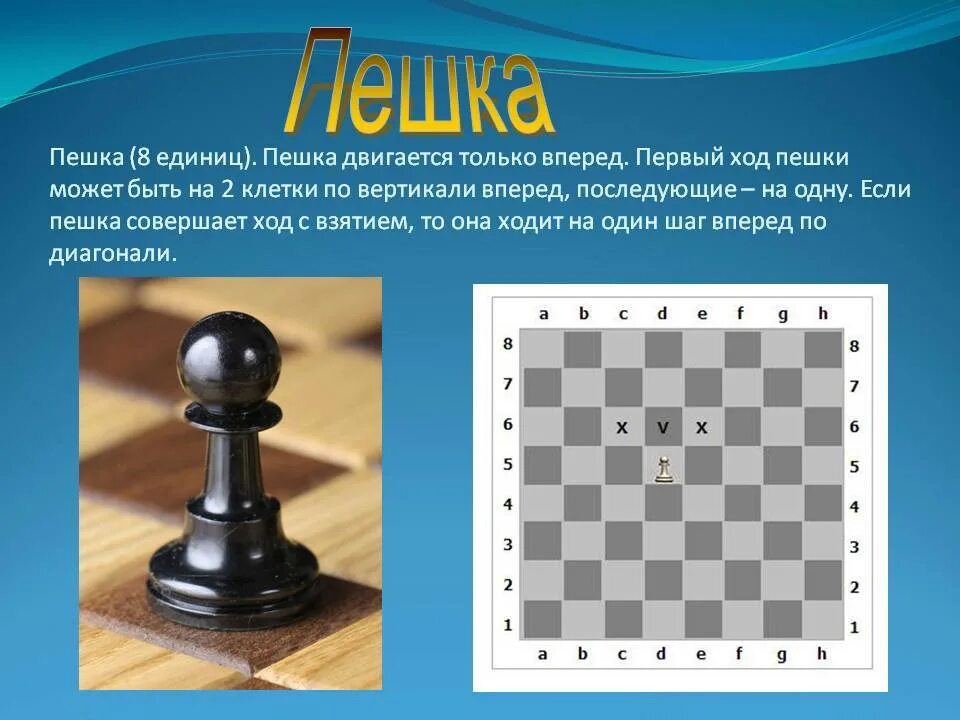 Шахматы первый ход пешкой на 2 клетки. Ход пешки в шахматах. Шахматная фигура пешка. Как ходит пешка в шахматах. Можно пешками есть назад