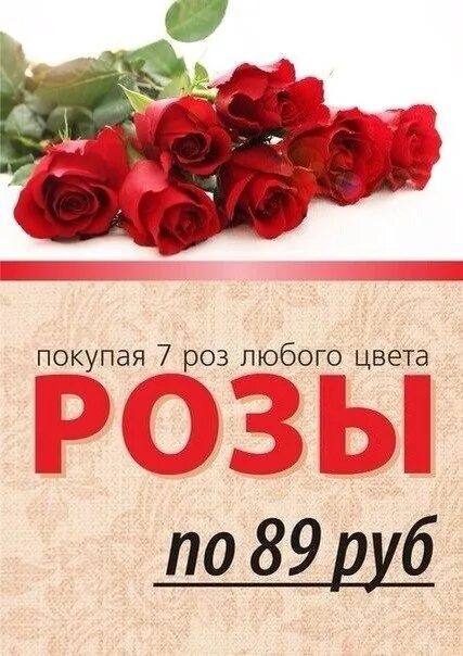 Сколько можно купить роз. Розы по акции. 99 Роз. Сколько роз можно купить на 500 рублей.