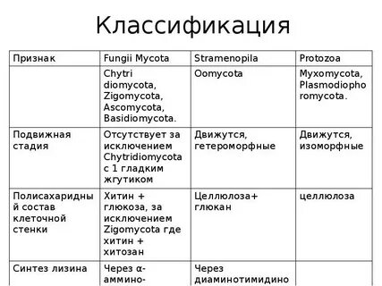 Градация эволюции