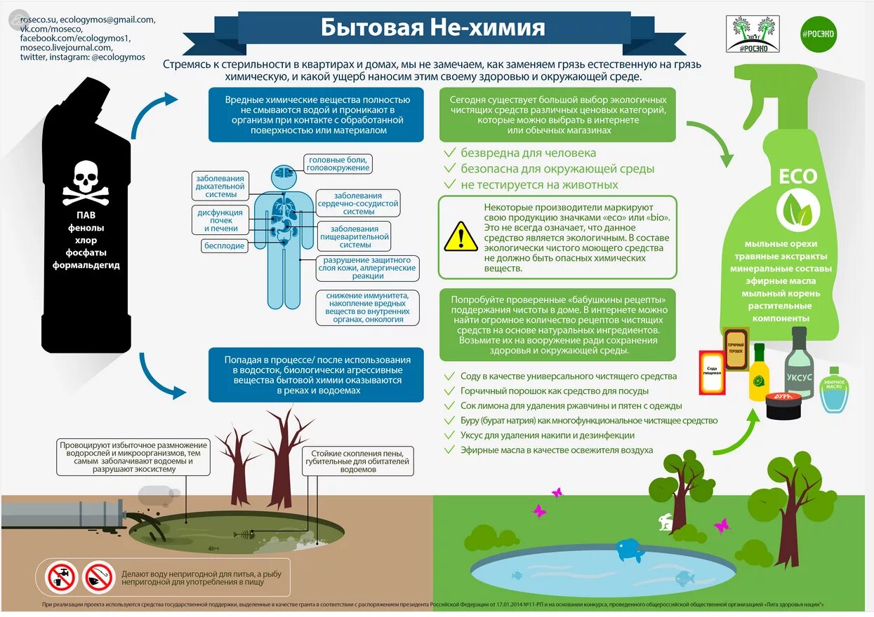 Вредные для окружающей среды моющие средства. Влияние бытовой химии на организм человека и экологию. Влияние химии на экологию. Влияние бытовой химии на экологию. Вода проникающие в организм