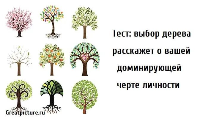 Тест выбери часы. Дерево выбора. Тест выбери дерево. Тест выбери себя на дереве. Тест с деревом доминантная черта характера.