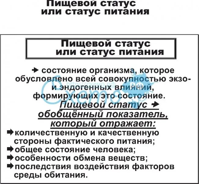 Пищевой статус питания. Оценка пищевого статуса человека. Классификация статуса питания. Пищевой статус человека. Критерии статуса питания.