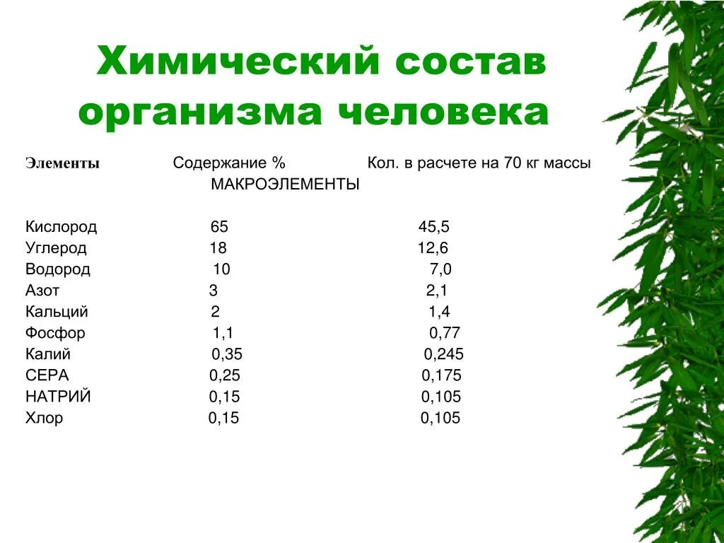 Химические элементы в организме человека 7 класс. Состав человеческого тела в элементах. Какие химические элементы и вещества входят в состав человека. Состав химических элементов в человеке. Элементный состав организма человека.