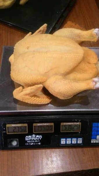 Кросс кур кобб 500. Бройлер кобб 700. Бройлер кобб 500. Бройлер кросс росс 308. Бройлеры кобб 500 с черными пятнами.