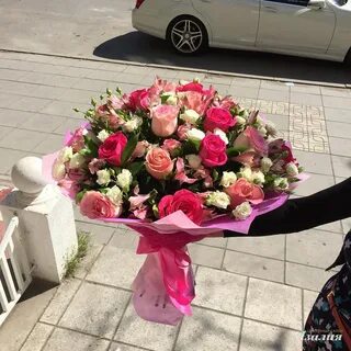 Розы махачкала
