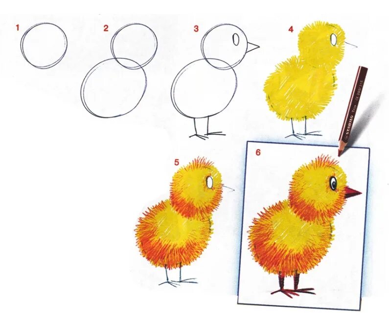 Урок рисования для 4 лет. Рисование для детей. Рисование для дошкольников. Поэтапное рисование для детей. Поэтапное рисование цыпленка.